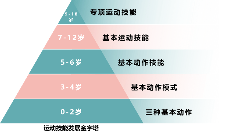 FMP训练