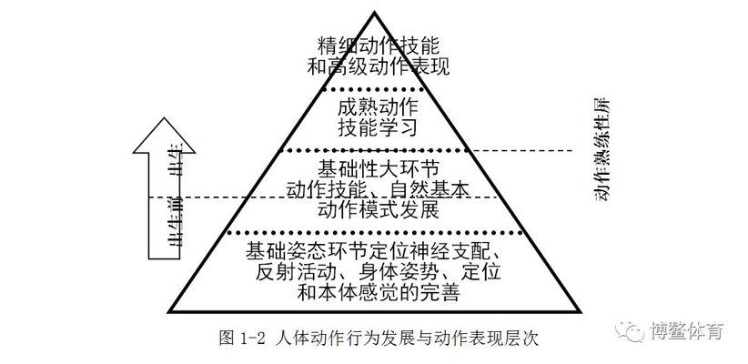 英士博体育